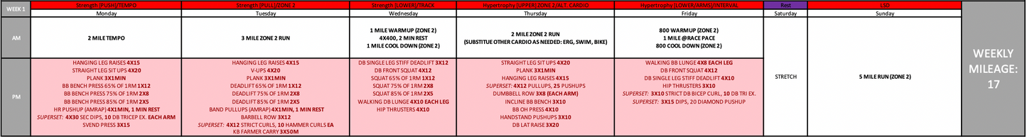 HYBRID TRAINING PROGRAM
